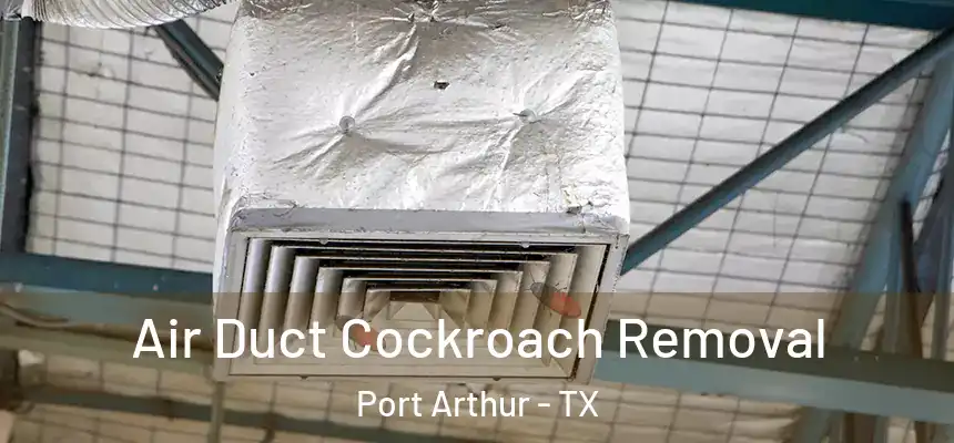  Air Duct Cockroach Removal Port Arthur - TX