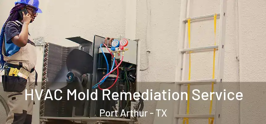 HVAC Mold Remediation Service Port Arthur - TX