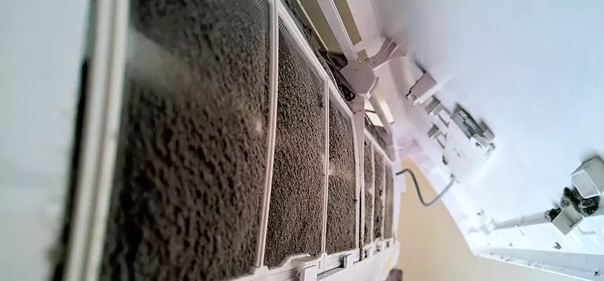 Preventive Air Duct Bacteria Removal in Port Arthur