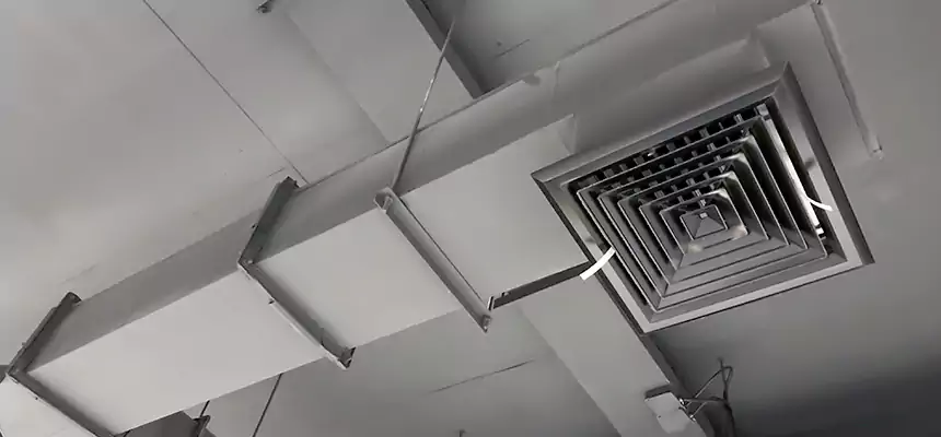 Our Rodent Droppings In Vents Services in Port Arthur, TX