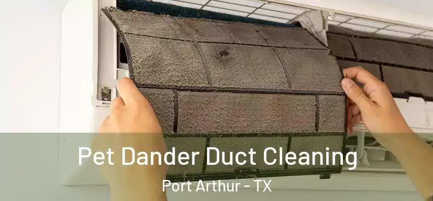  Pet Dander Duct Cleaning Port Arthur - TX