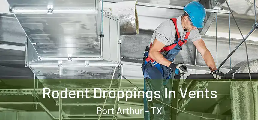  Rodent Droppings In Vents Port Arthur - TX