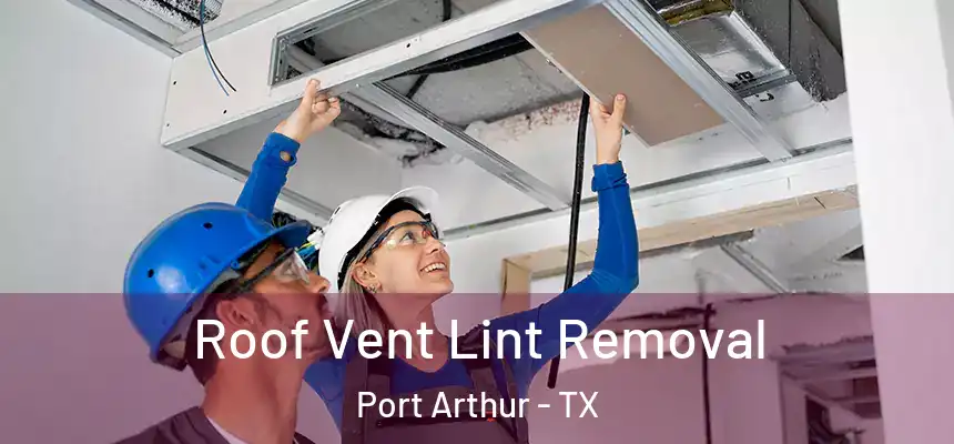  Roof Vent Lint Removal Port Arthur - TX