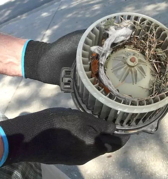 About Air Duct Mice Removal in Port Arthur, TX