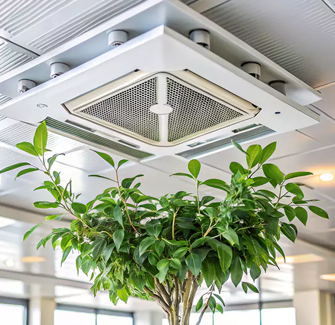 Why Homeowners & Businesses Trust Us in Port Arthur, TX