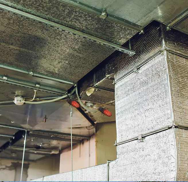 Why Homeowners & Businesses Trust Us Port Arthur, TX?